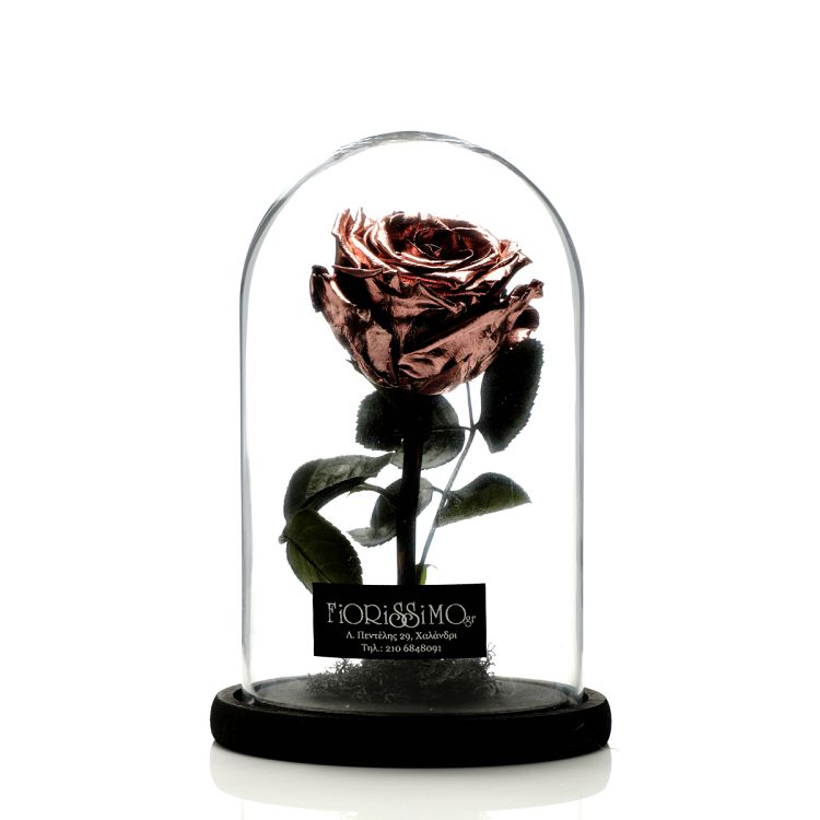 Beauty & the Beast- Μικρό-Μπρονζέ