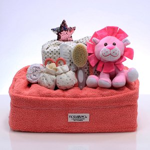Diaper gift (boy/girl)