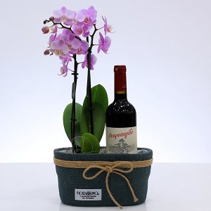 Orchid with wine
