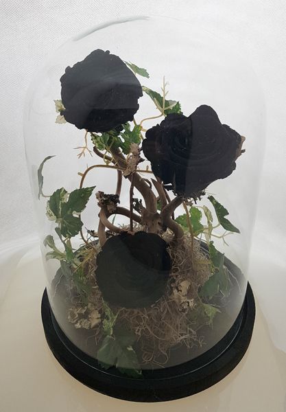 Glass dome with 3 Forever Roses Black!