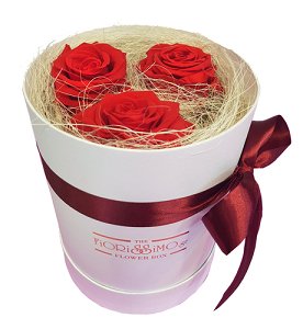 Κουτί με τριαντάφυλλα - Forever