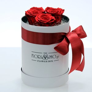 White box of 3 red Forever Roses