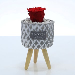 Cement pot with wooden legs with Forever Rose