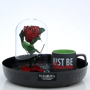 Foverer Rose in glass dome an mug!