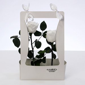 Forever Roses in a bag box white!