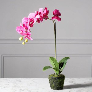 Artificial Orchid Fuchsia