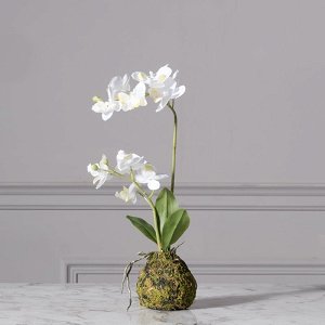 Artificial White Phalaenopsis 40 cm