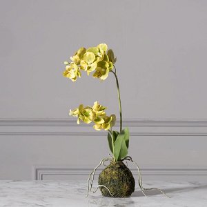 Artificial Green Phalaenopsis 40 cm