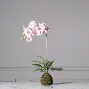 Artificial Pink Phalaenopsis 60 cm