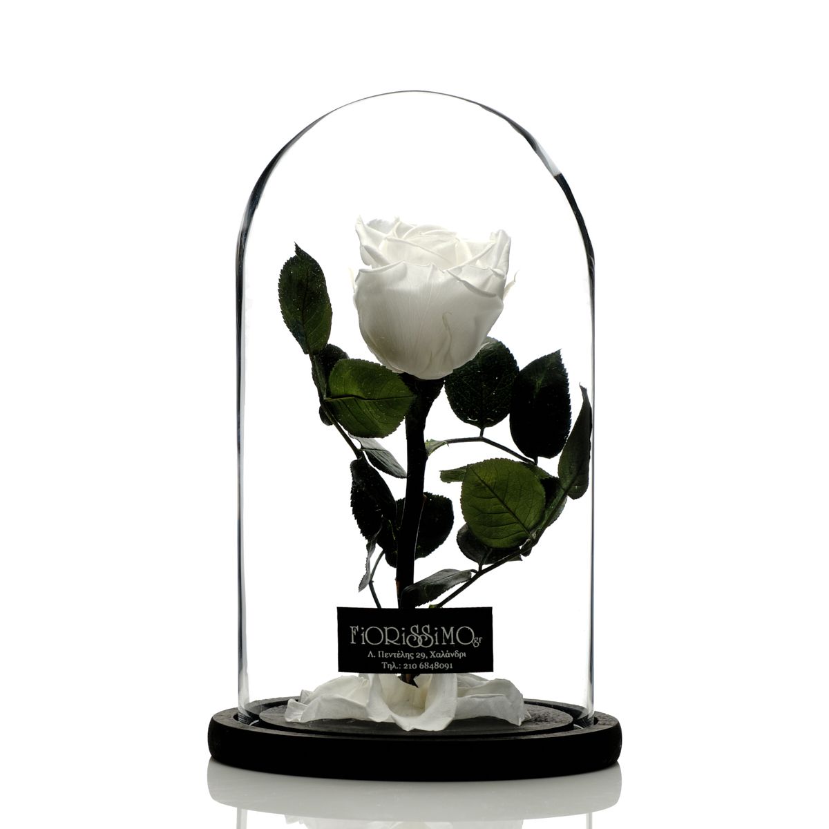Forever roses-Classic-White!!