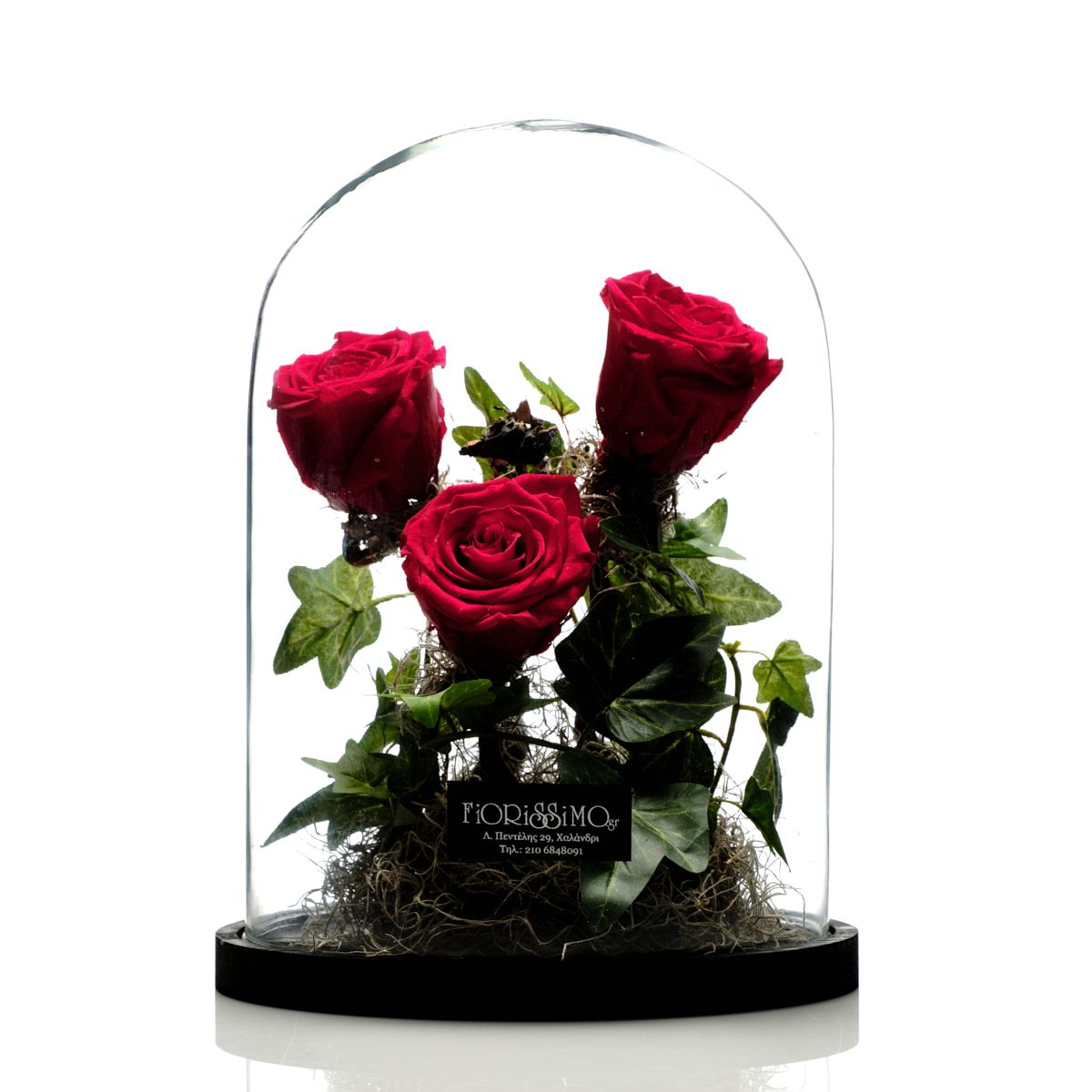 Glass dome with 3 red Forever roses!