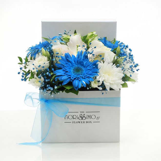White-blue arrangement in a box