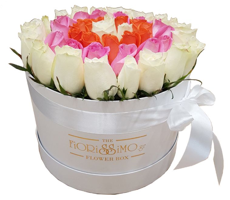 Κουτί τριαντάφυλλα κύκλοι XL- Λευκό
