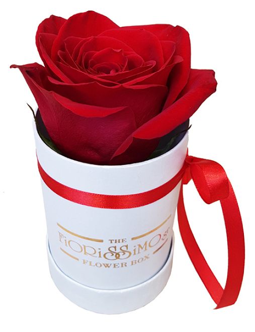 Flower Box 1 Red Roses - Mini