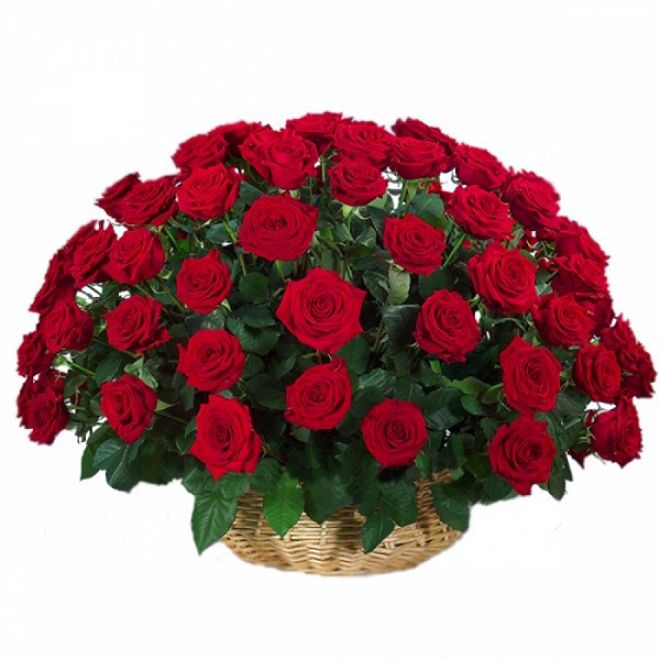 Basket With 60 Roses!