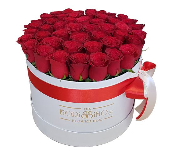Κουτί κόκκινα τριαντάφυλλα XL- Λευκό