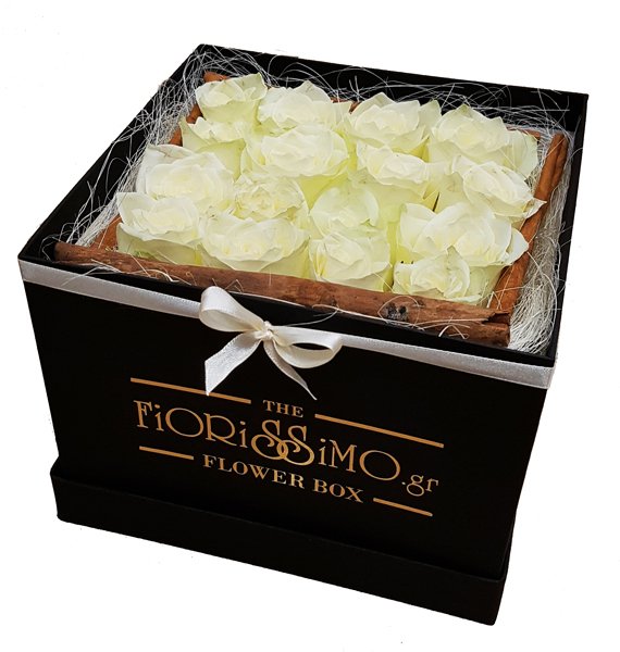 Flower Box Square- Black lines- 3colors
