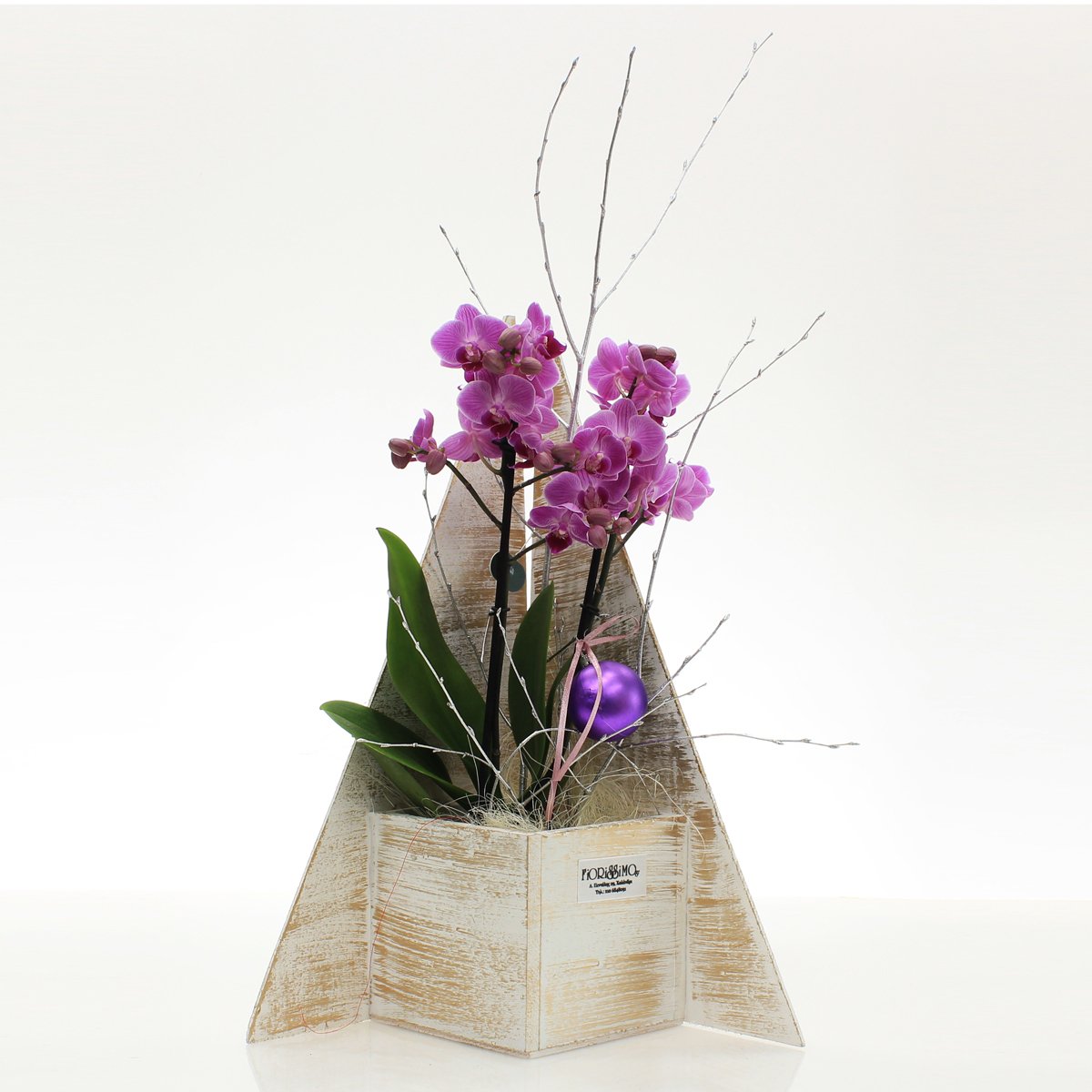Phalaenopsis mini orchid on wooden base!