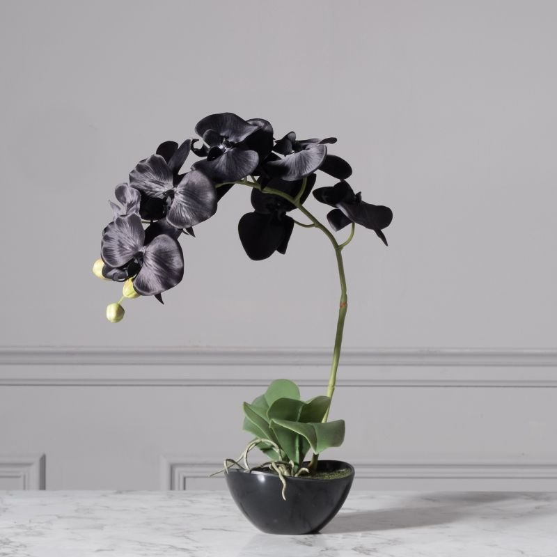 Artificial Black Phalaenopsis 48 cm
