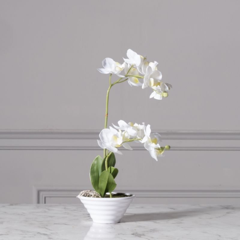 Artificial White Phalaenopsis 35 cm