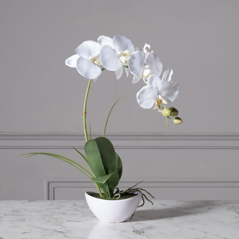 Artificial White Phalaenopsis 50 cm