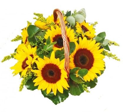 Sunflower basket!