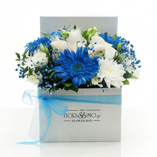 White and blue flowers in a box!