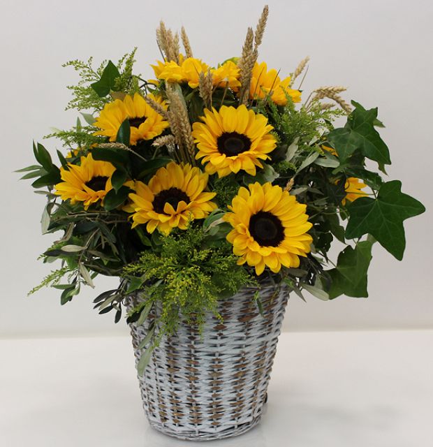 Sunflowers in basket!