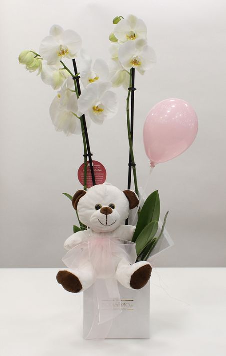 Orchid and Bear!!