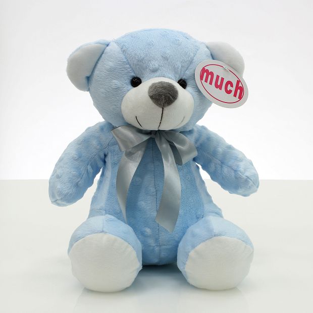Special Bear Blue! Small-30cm