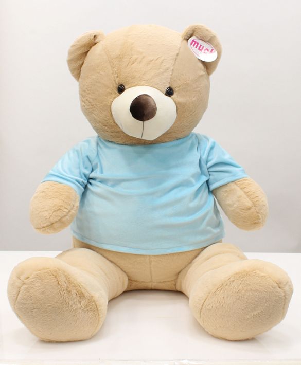 Teddy with t-shirt