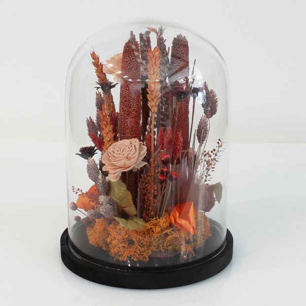 Arrangement of dried in glass