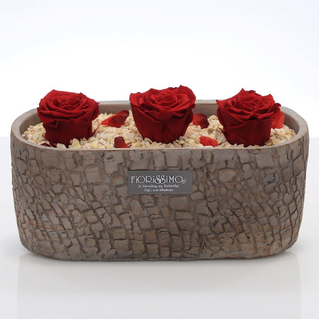 Three Forever Roses arrangment if clay pot!
